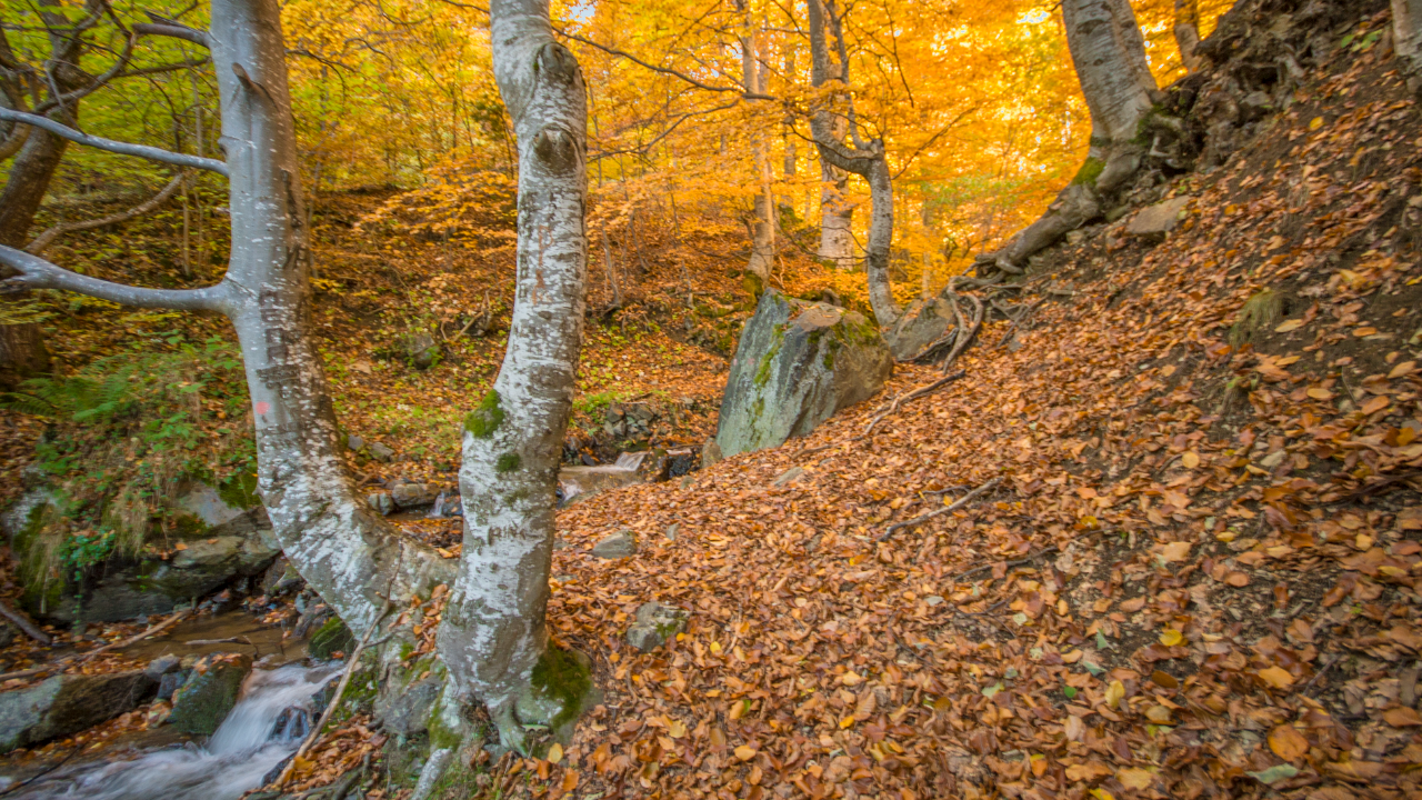 Izvor reke Toplice26