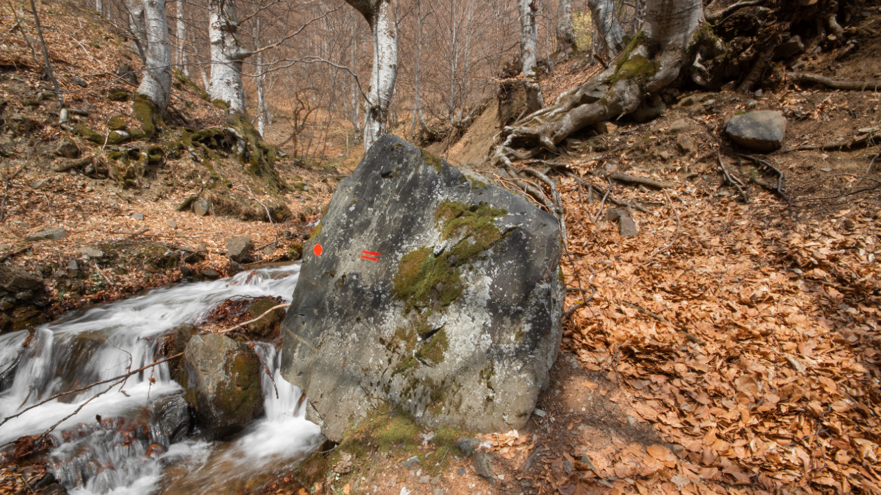 Izvor reke Toplice34